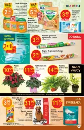 Gazetka promocyjna Delikatesy Centrum - Gazetka DC05 - Gazetka - ważna od 09.02 do 09.02.2022 - strona 27 - produkty: Piec, Kurczak, Marchewka, Warzywa, Por, Pur, Cyklamen, Papier, BoboVita, Purina, Królik, Chusteczki, Papier do pieczenia, Pedigree