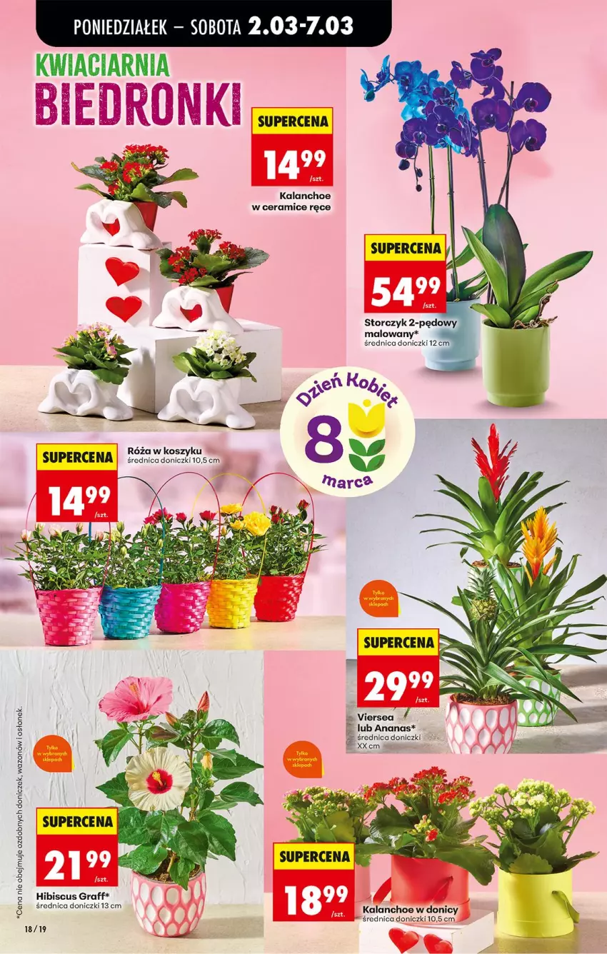 Gazetka promocyjna Biedronka - Od Poniedziałku - ważna 02.03 do 07.03.2026 - strona 22 - produkty: Ananas, Gra, Kalanchoe, Kosz, Róża, Storczyk, Wazon
