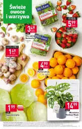 Gazetka promocyjna Stokrotka - Supermarket - Gazetka - ważna od 15.02 do 15.02.2023 - strona 3 - produkty: Warzywa, Truskawki, Czosnek, Pomarańcze, Tera, Siatka, Sałat, Owoce, Mięso