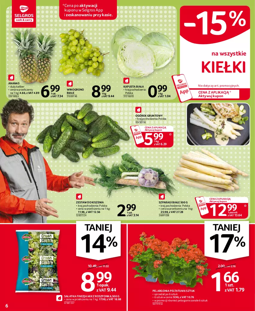 Gazetka promocyjna Selgros - Oferta spożywcza - ważna 15.04 do 28.04.2021 - strona 6 - produkty: Ananas, Grunt, Kiełki, LG, Ogórek, Sałat, Sałatka, Wino