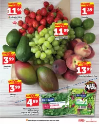 Gazetka promocyjna Topaz - Gazetka - Gazetka - ważna od 11.06 do 11.06.2025 - strona 9 - produkty: Top, Kosz, Sałat, Limonka, Szpinak