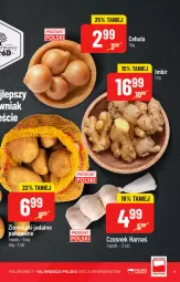 Gazetka promocyjna PoloMarket - Gazetka pomocyjna - Gazetka - ważna od 11.10 do 11.10.2022 - strona 11 - produkty: Cebula, Czosnek, Harnaś