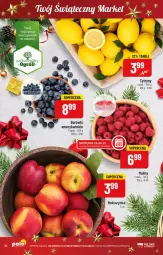 Gazetka promocyjna PoloMarket - Gazetka pomocyjna - Gazetka - ważna od 27.12 do 27.12.2022 - strona 10 - produkty: Cytryny, Maliny