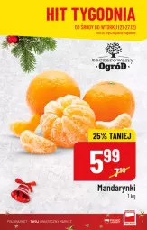 Gazetka promocyjna PoloMarket - Gazetka pomocyjna - Gazetka - ważna od 27.12 do 27.12.2022 - strona 7 - produkty: Ogród