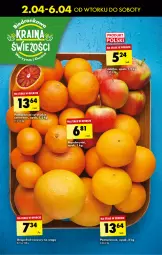 Gazetka promocyjna Biedronka - Od poniedzialku - Gazetka - ważna od 06.04 do 06.04.2024 - strona 21 - produkty: Mandarynki, Koc, Pomarańcze