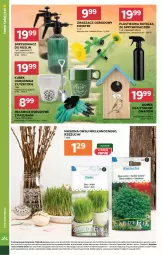 Gazetka promocyjna Stokrotka - Market - Gazetka - ważna od 18.03 do 18.03.2026 - strona 20 - produkty: Warzywa, Optima, Butelka ze spryskiwaczem, Rękawice, Owoce, Kubek, Mięso