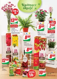 Gazetka promocyjna Dino - Gazetka - Gazetka - ważna od 29.03 do 29.03.2022 - strona 19 - produkty: Sok, Hiacynt, Róża, Bukiet, LG