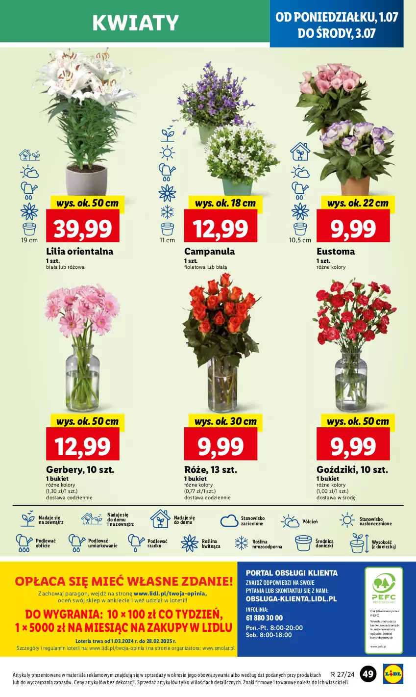 Gazetka promocyjna Lidl - GAZETKA - ważna 01.07 do 03.07.2024 - strona 57 - produkty: Bukiet, Campanula, Cień, Gerber, Gra, Mola, O nas, Por, Sok