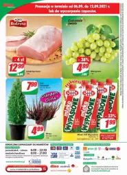 Gazetka promocyjna Dino - Gazetka - Gazetka - ważna od 14.09 do 14.09.2021 - strona 20 - produkty: Ser, JBL, Tera, Schab bez kości, Mleko, Fa