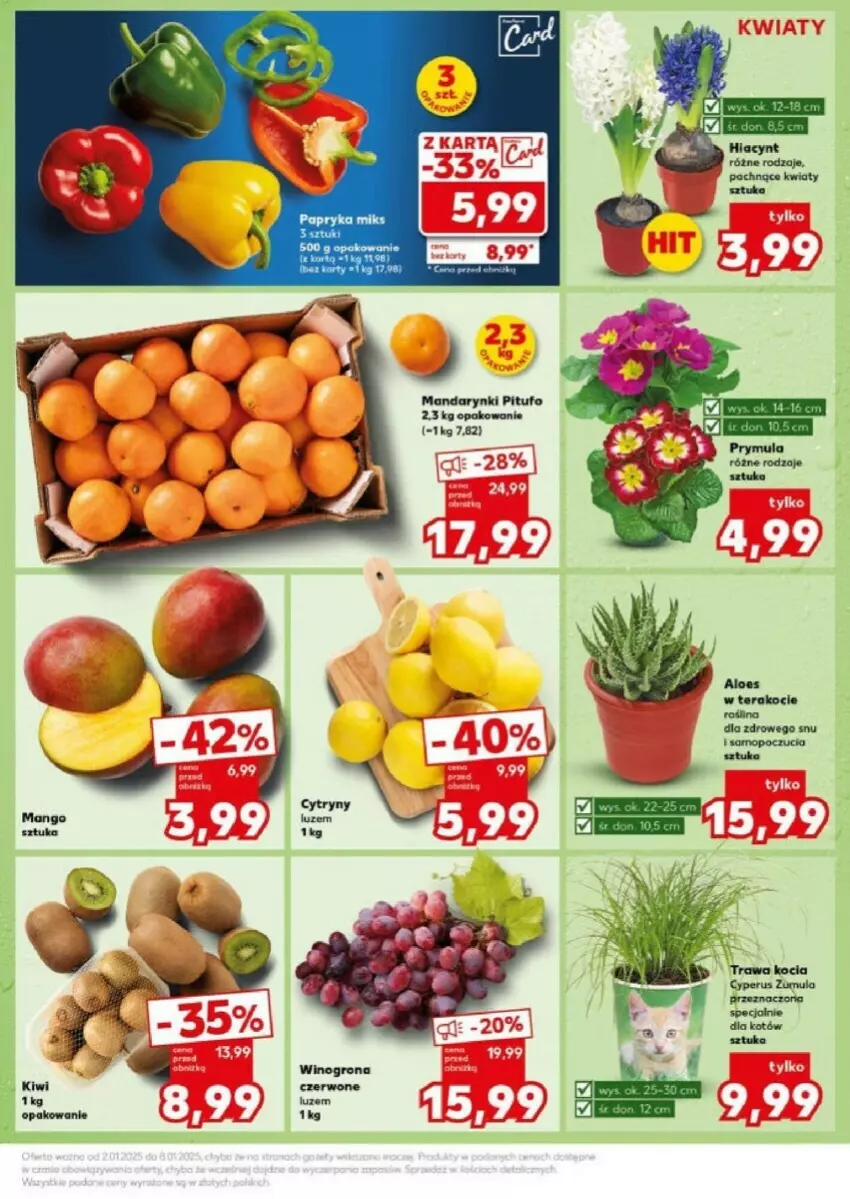 Gazetka promocyjna Kaufland - ważna 07.01 do 08.01.2025 - strona 32 - produkty: Cytryny, Hiacynt, Koc, Mandarynki, Papryka, Prymula, Tera, Wino, Winogrona