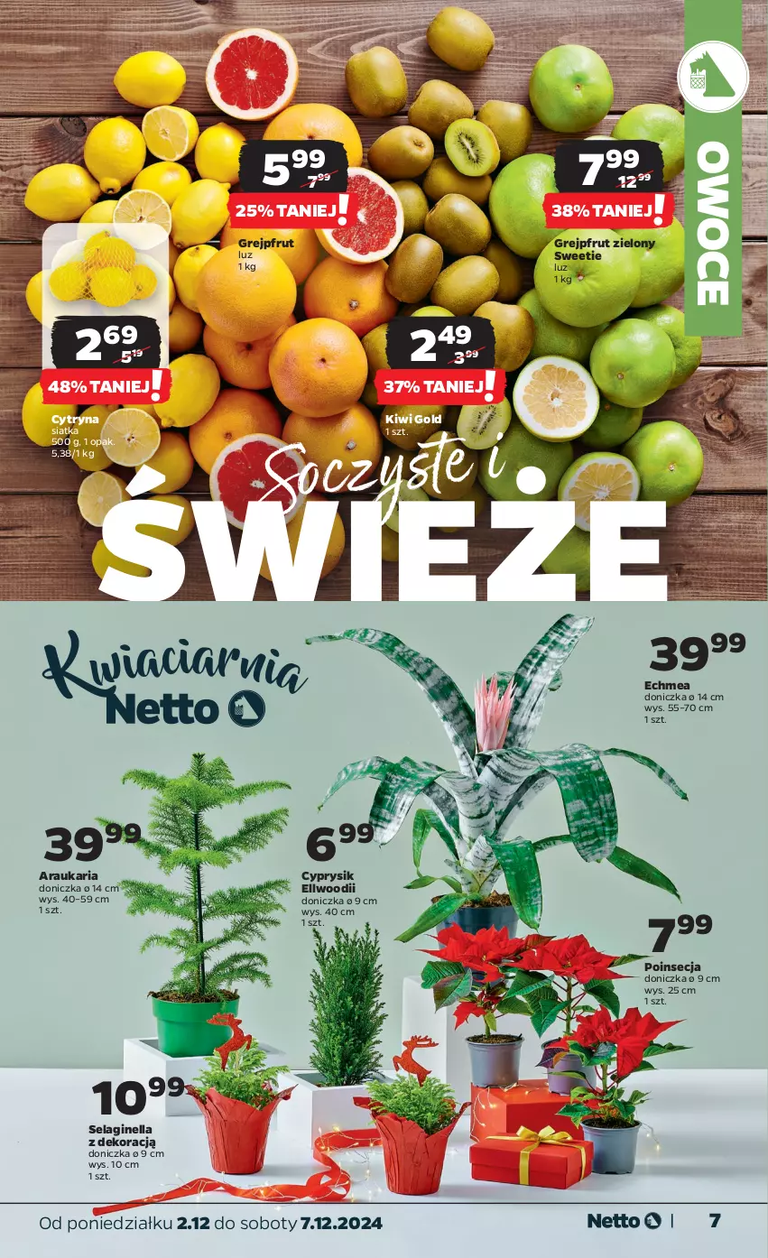 Gazetka promocyjna Netto - Od Poniedziałku - ważna 02.12 do 07.12.2024 - strona 7 - produkty: Cyprysik, Gin, Grejpfrut, Kiwi, Owoce, Poinsecja, Siatka