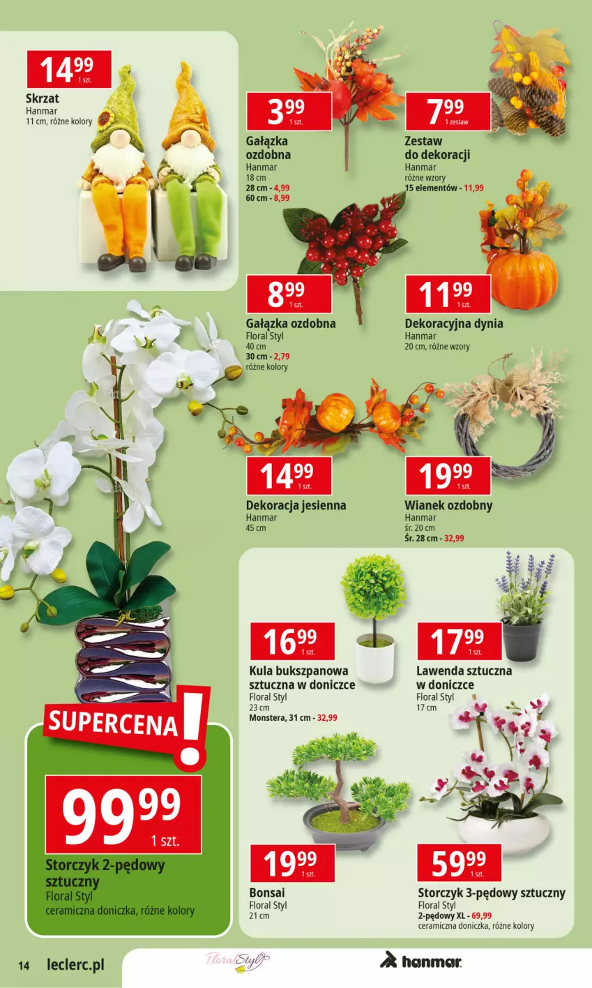 Gazetka promocyjna E Leclerc - ważna 01.10 do 12.10.2024 - strona 14 - produkty: Flora, Skrzat, Storczyk, Tera