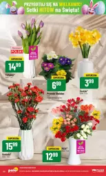 Gazetka promocyjna PoloMarket - Gazetka - ważna od 25.03 do 25.03.2025 - strona 46 - produkty: Tulipan, Prymula, Bukiet