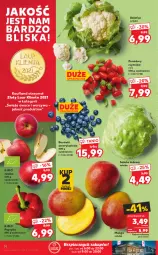 Gazetka promocyjna Kaufland - OFERTA TYGODNIA - Gazetka - ważna od 26.01 do 26.01.2022 - strona 14 - produkty: Piec, Kalafior, Warzywa, Sałata lodowa, Papryka, Laur, Sałat, Owoce, Mango, Pomidory, Jabłka