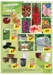 Gazetka promocyjna Carrefour - Gazetka Carrefour - Gazetka - ważna od 18.02 do 18.02.2023 - strona 21 - produkty: Tunel, Miecz