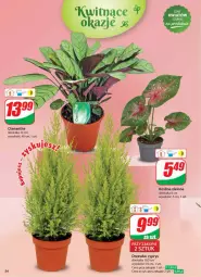 Gazetka promocyjna Dino - Gazetka 44 / 2024 - Gazetka - ważna od 05.11 do 05.11.2024 - strona 54 - produkty: Sok