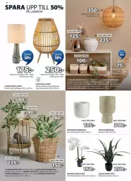 Gazetka promocyjna Jysk - Gazetka - ważna od 09.02 do 09.02.2025 - strona 13 - produkty: Por, Mus, Gra, Lampa, Cement, Fa