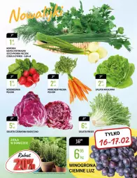Gazetka promocyjna Bi1 - Tłusty czwartek - Gazetka - ważna od 22.02 do 22.02.2022 - strona 11 - produkty: Cebula, Natka pietruszki, Rzodkiewka
