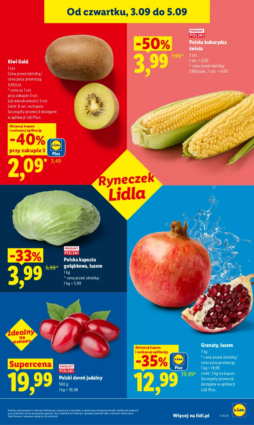 Gazetka promocyjna Lidl - Gazetka ważna od 3.09 do 5.09 - ważna 03.09 do 05.09.2026 - strona 41 - produkty: Dereń, Gra, Granat, Kiwi, Kukurydza