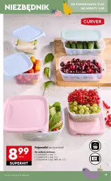 Gazetka promocyjna Biedronka - Okazje Tygodnia - Gazetka - ważna od 02.08 do 02.08.2025 - strona 15 - produkty: Pojemnik