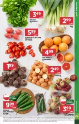 Gazetka promocyjna Stokrotka - Market Opole/Radom - Gazetka - ważna od 05.02 do 05.02.2025 - strona 5 - produkty: Cebula, Warzywa, Por, Sałata masłowa, Ogórek, Sałat, Buraki, Owoce, Masło, Pomidory, Mięso, Jabłka, Grejpfrut