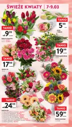 Gazetka promocyjna Intermarche - Gazetka - ważna od 13.03 do 13.03.2024 - strona 13 - produkty: Gerber, Tulipan, Róża, Bukiet