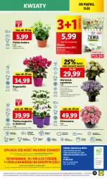 Gazetka promocyjna Lidl - GAZETKA - Gazetka - ważna od 01.06 do 01.06.2024 - strona 39 - produkty: Sok, Por, Gra, Cień, O nas, Mola