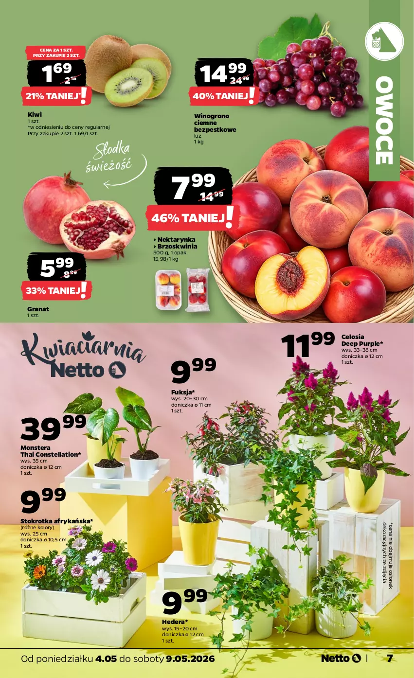 Gazetka promocyjna Netto - Od Poniedziałku - ważna 04.05 do 09.05.2026 - strona 7 - produkty: Gra, Granat, Kiwi, Nektar, Nektarynka, Owoce, Pur, Tera, Wino