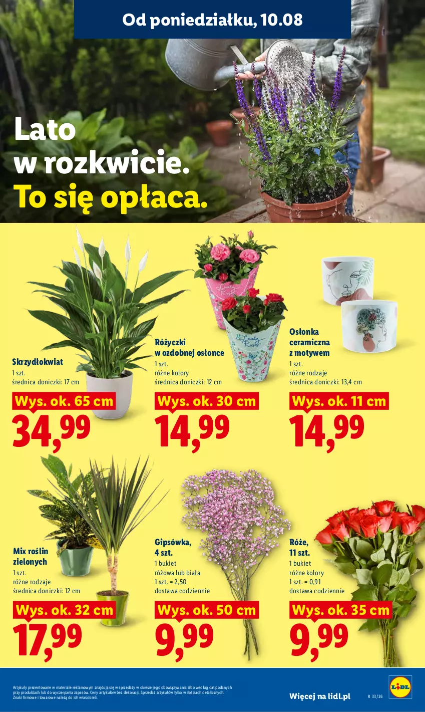 Gazetka promocyjna Lidl - Gazetka ważna od 10.08 do 11.08 - ważna 10.08 do 11.08.2026 - strona 93 - produkty: Bukiet, Osłonka