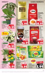 Gazetka promocyjna Kaufland - OFERTA TYGODNIA - Gazetka - ważna od 23.06 do 23.06.2021 - strona 29 - produkty: Kawa rozpuszczalna, Gra, Kawa ziarnista, Rama, Róża, Kawa mielona, Kawa, Kalanchoe, Lipton, Bukiet, Woseba, Herbata, Segafredo, Herbapol