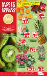 Gazetka promocyjna Kaufland - OFERTA TYGODNIA - Gazetka - ważna od 23.06 do 23.06.2021 - strona 8 - produkty: Piec, Warzywa, Ananas, Laur, Owoce, Kokos