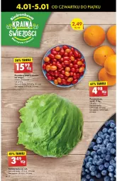 Gazetka promocyjna Biedronka - Od Czwartku - Gazetka - ważna od 10.01 do 10.01.2024 - strona 16 - produkty: Sałata lodowa, Pomarańcze, Sałat, Pomidory