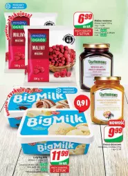 Gazetka promocyjna Dino - Gazetka 22 / 2024 - Gazetka - ważna od 04.06 do 04.06.2024 - strona 29 - produkty: Ser, Big Milk, Lody, Maliny, Owoce, Deser, Ogród