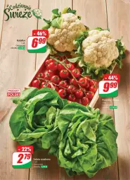 Gazetka promocyjna Dino - Gazetka 22 / 2024 - Gazetka - ważna od 04.06 do 04.06.2024 - strona 35 - produkty: Kalafior, Sałata masłowa, Sałat, Masło