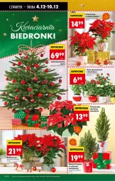 Gazetka promocyjna Biedronka - Od Czwartku - Gazetka - ważna od 10.12 do 10.12.2025 - strona 24 - produkty: Sok, Róża, Kask