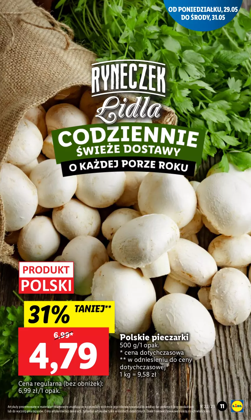 Gazetka promocyjna Lidl - GAZETKA - ważna 29.05 do 31.05.2023 - strona 21 - produkty: Piec