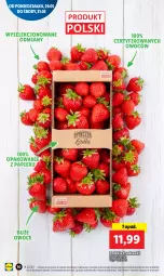 Gazetka promocyjna Lidl - GAZETKA - Gazetka - ważna od 31.05 do 31.05.2023 - strona 20 - produkty: Papier, Truskawki, Owoce