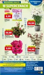 Gazetka promocyjna Lidl - GAZETKA - Gazetka - ważna od 31.05 do 31.05.2023 - strona 53 - produkty: Sok, Por, Gry, Gerber, Cień, O nas, Storczyk, Mola, Bukiet