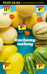 Gazetka promocyjna Biedronka - Od poniedzialku - Gazetka - ważna od 24.02 do 24.02.2024 - strona 21 - produkty: Melon