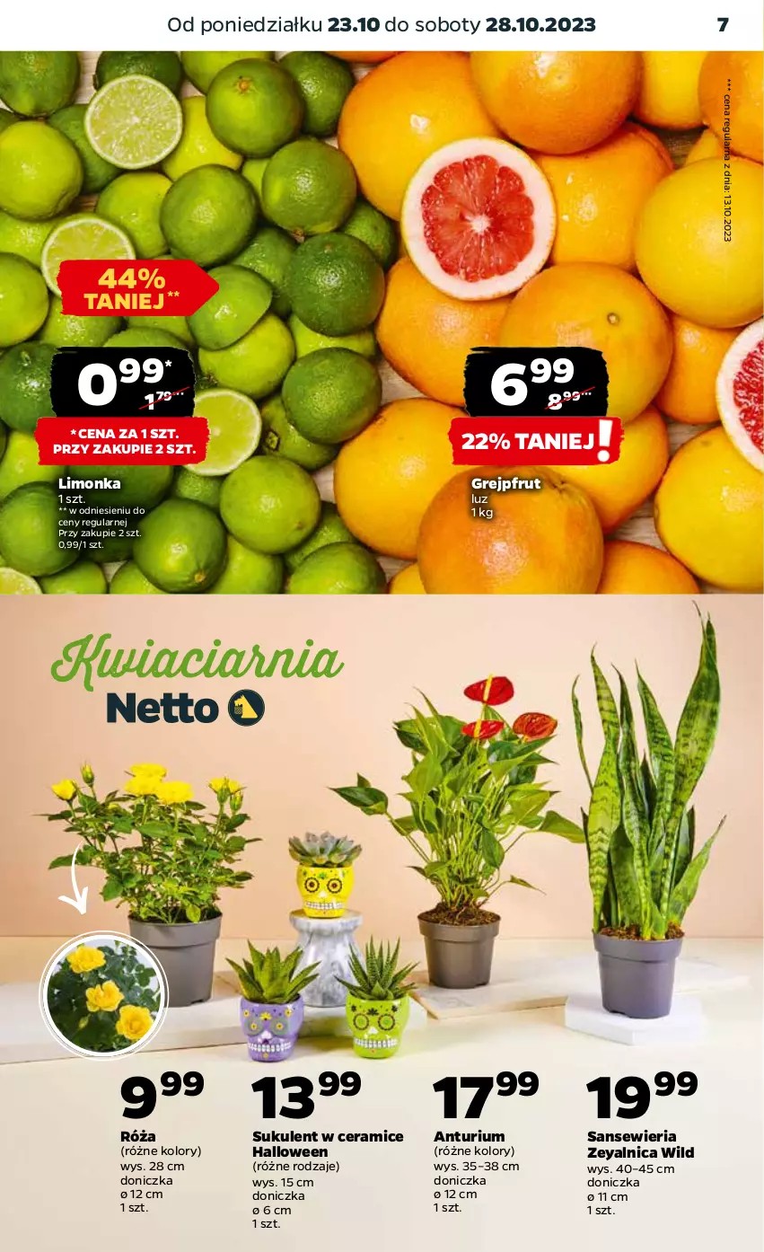 Gazetka promocyjna Netto - Akcesoria i dodatki - ważna 26.10 do 01.11.2023 - strona 7 - produkty: Grejpfrut, Limonka, Róża, Sukulent