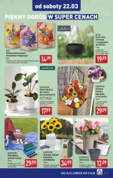 Gazetka promocyjna Aldi - Artykuły przemysłowe i tekstylia - Gazetka - ważna od 22.03 do 22.03.2025 - strona 9 - produkty: Por, Dzbanek, Kosz, Ogród, Dywan
