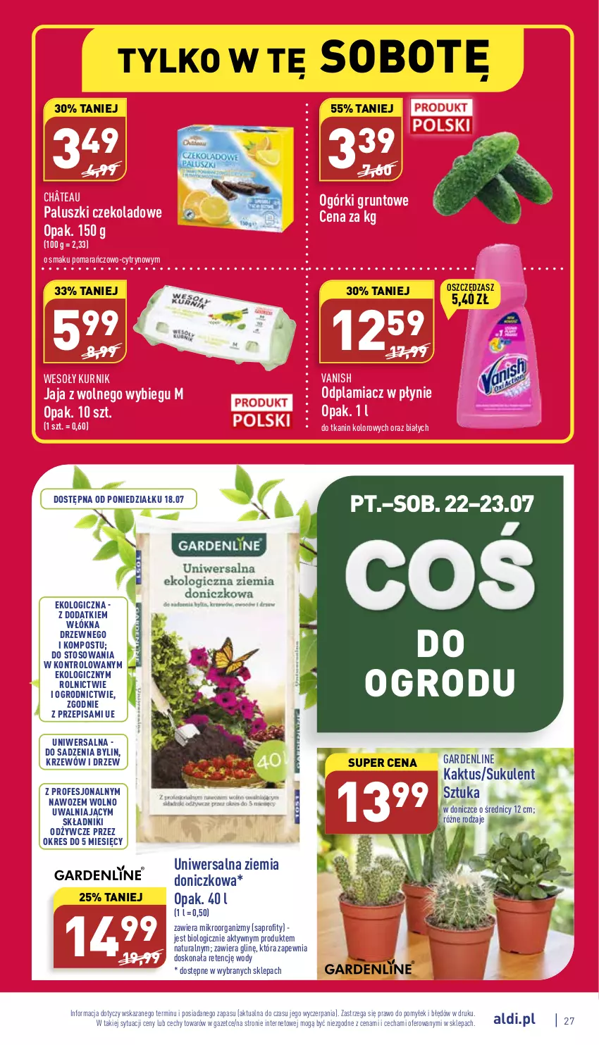 Gazetka promocyjna Aldi - Pełny katalog - ważna 18.07 do 23.07.2022 - strona 27 - produkty: Grunt, Jaja, Jaja z wolnego wybiegu, Kaktus, Odplamiacz, Sukulent, Vanish