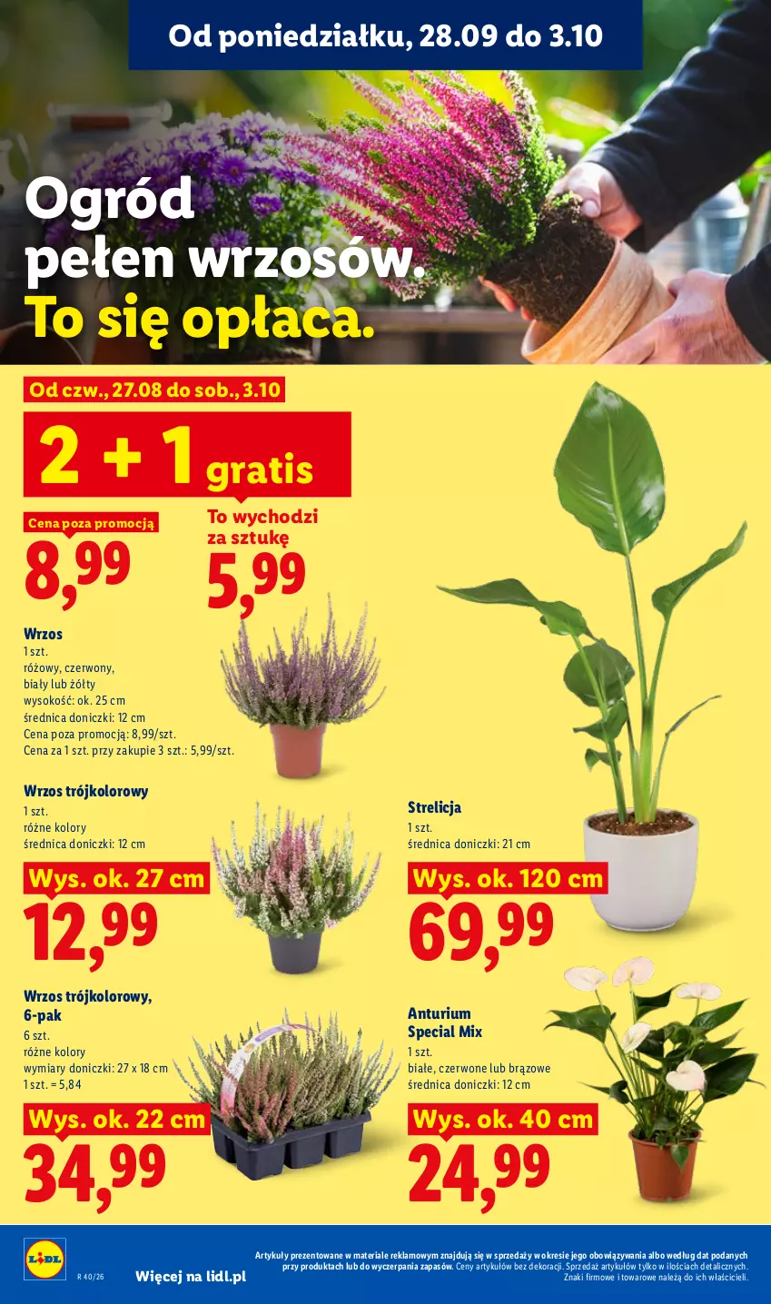 Gazetka promocyjna Lidl - Gazetka ważna od 28.09 do 30.09 - ważna 28.09 do 30.09.2026 - strona 88 - produkty: Gra, Ogród, Sok