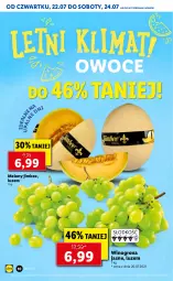 Gazetka promocyjna Lidl - GAZETKA - Gazetka - ważna od 24.07 do 24.07.2021 - strona 10 - produkty: Winogrona, Owoce, Wino, Melon