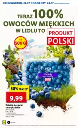 Gazetka promocyjna Lidl - GAZETKA - Gazetka - ważna od 24.07 do 24.07.2021 - strona 2 - produkty: Por, Borówka, Tera