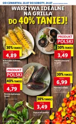 Gazetka promocyjna Lidl - GAZETKA - Gazetka - ważna od 24.07 do 24.07.2021 - strona 9 - produkty: Piec, Warzywa, Grill, Pomidory, Kukurydza