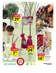 Gazetka promocyjna Intermarche - Gazetka Intermarche - Gazetka - ważna od 08.04 do 08.04.2023 - strona 23 - produkty: Por, Morela, Gres