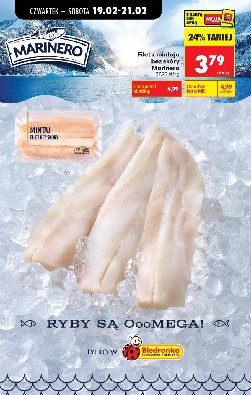 Gazetka promocyjna Biedronka - Od Czwartku - ważna 19.02 do 25.02.2026 - strona 73 - produkty: Mintaj