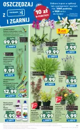 Gazetka promocyjna Kaufland - OFERTA TYGODNIA - Gazetka - ważna od 16.06 do 16.06.2021 - strona 49 - produkty: Teleskop, Top, Sok, Noż, Gra, Nożyce, Stojak, Sekator, Storczyk, Bukiet, Nawóz
