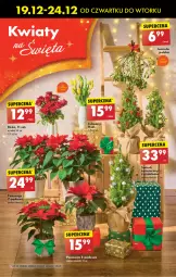 Gazetka promocyjna Biedronka - Od Czwartku - Gazetka - ważna od 25.12 do 25.12.2024 - strona 34 - produkty: Sok, Poinsecja